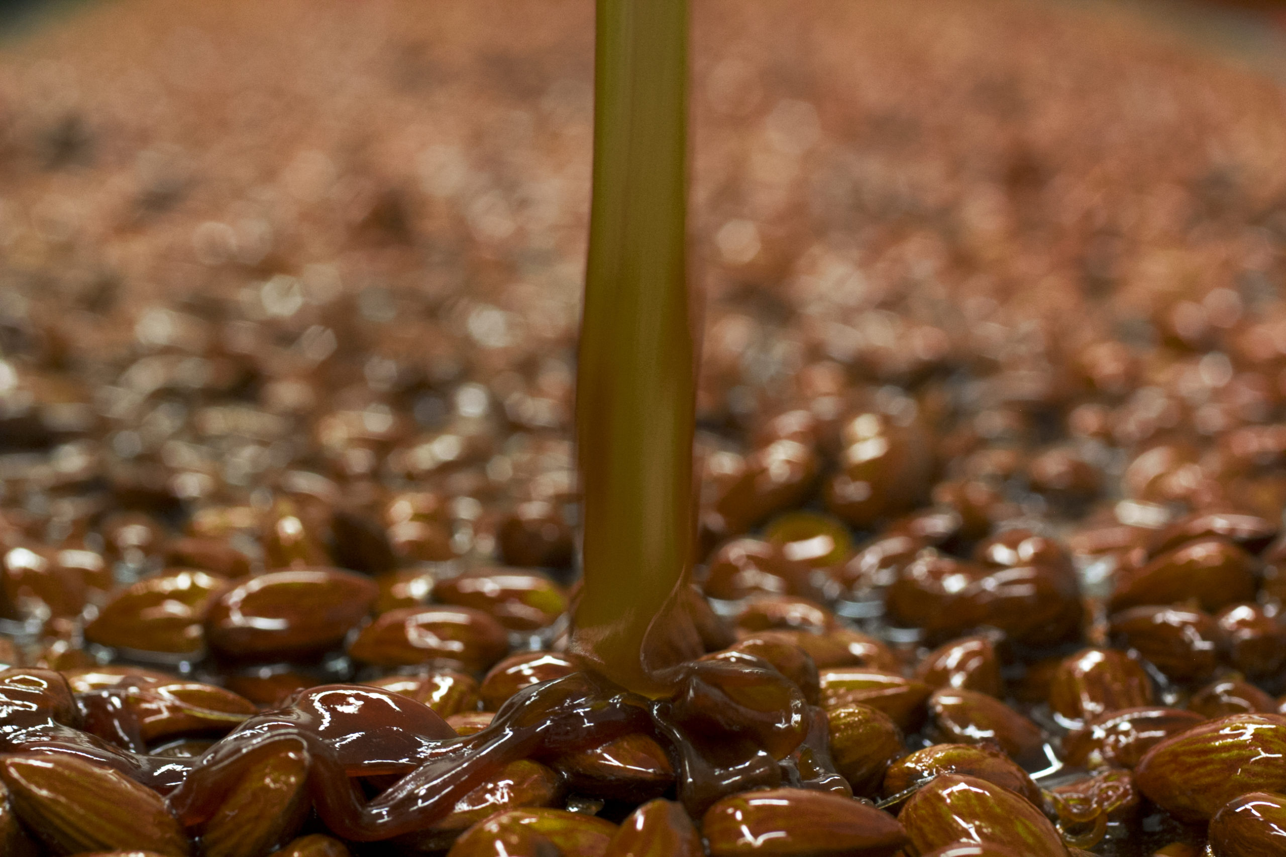 L’automne en Provence : l’art de la gourmandise retrouvée