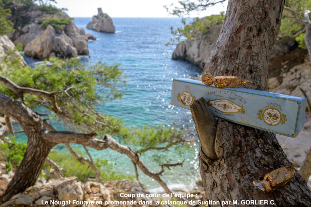 Nougat Fouque en promenade dans la calanque de Sugiton