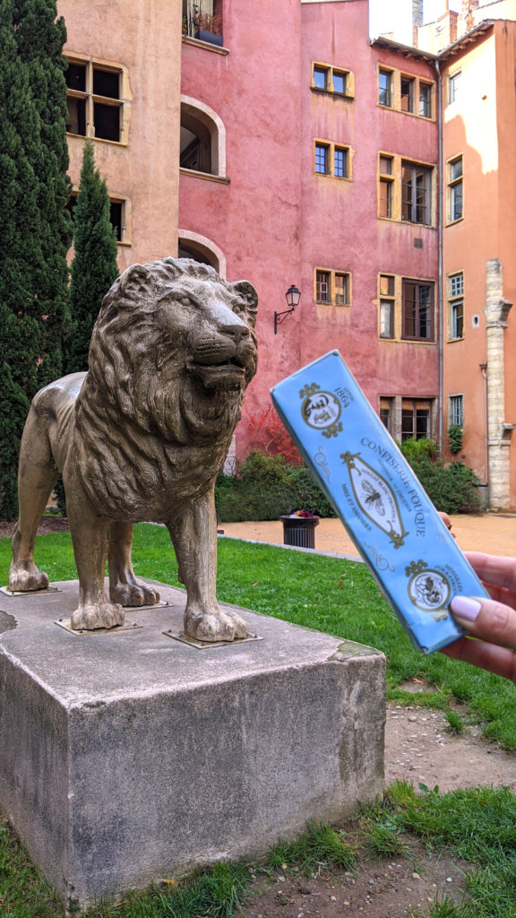 Le goûter du lion à Lyon - Roux Sarah